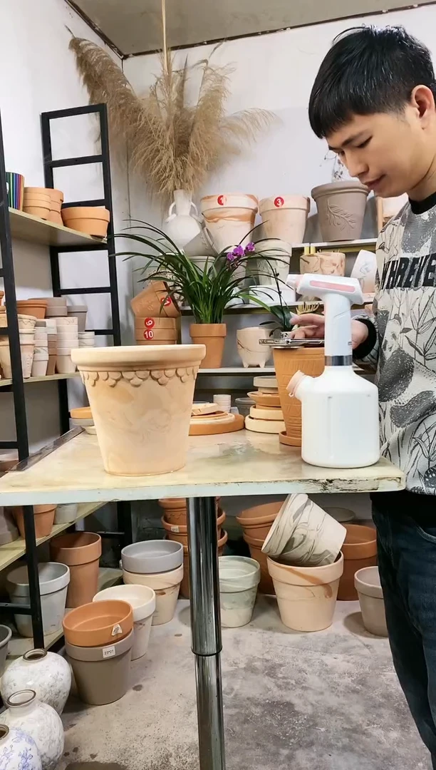 【闪购商品】红陶20*19玛奇朵巴洛克 1盆无托