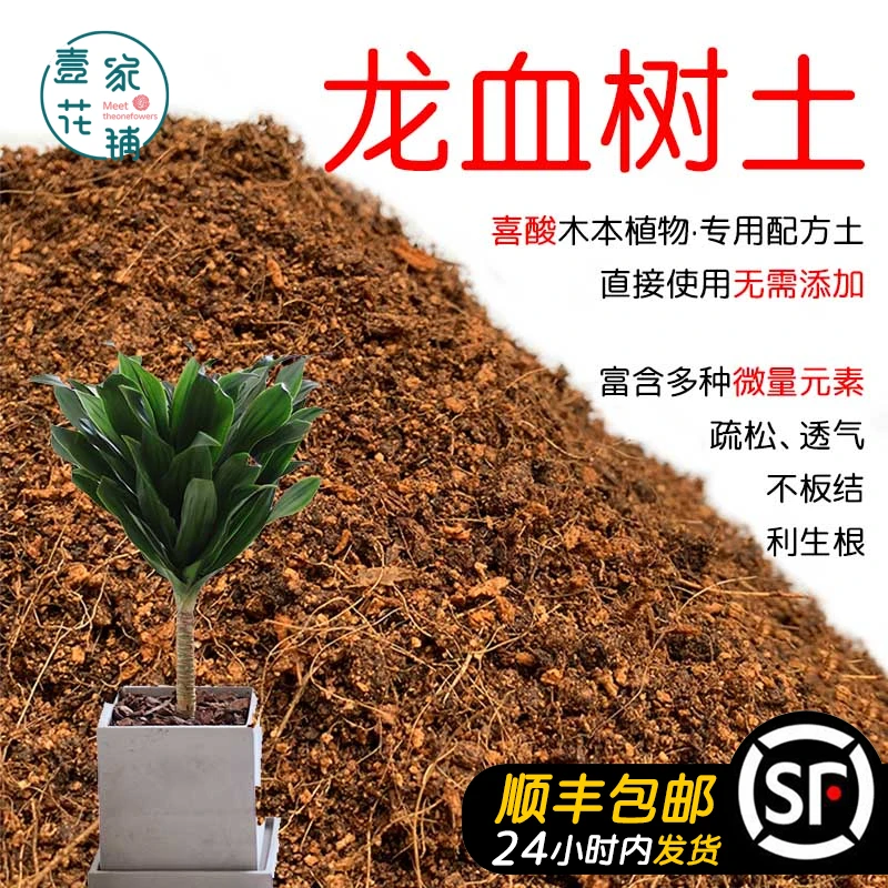 龙血树土盆栽种植龙血树专用土酸性土壤沙性土花泥种植营养土花肥