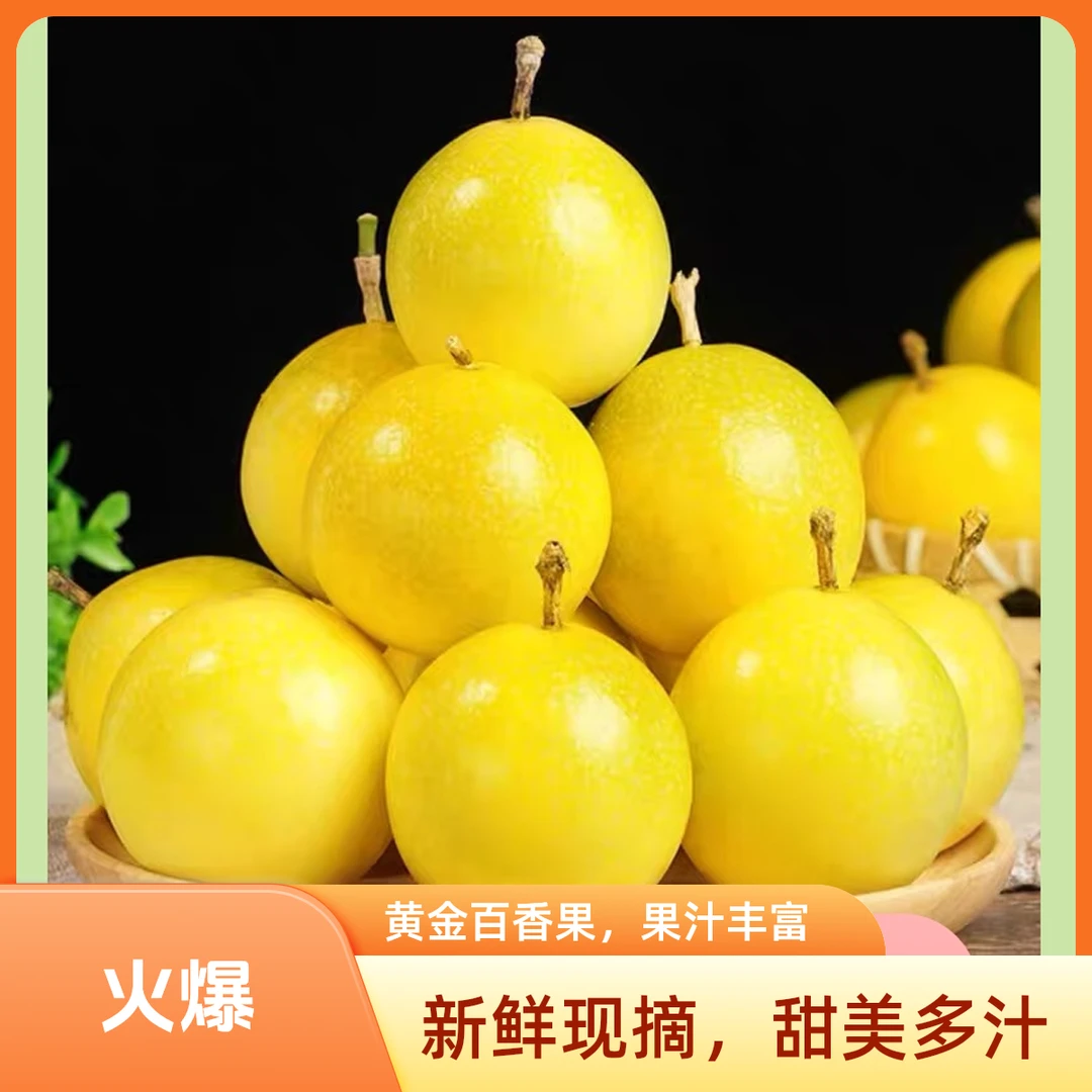 正宗钦果9号钦蜜9号密甜黄金百香果现摘新鲜大果饱满多汁清香纯甜