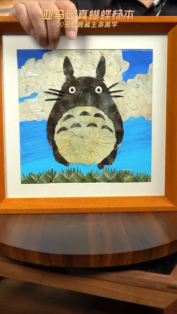 蝴蝶翅膀蝶翅画竞拍a201