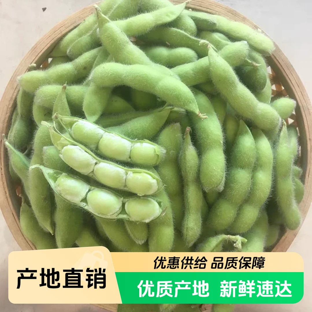 八卦洲毛豆新鲜毛豆米带壳毛豆应季蔬菜嫩豆荚糯感豆米现摘毛豆kg新鲜上市江苏省毛豆同城送毛豆