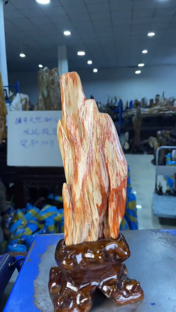 未镶嵌摆件硅化玉43