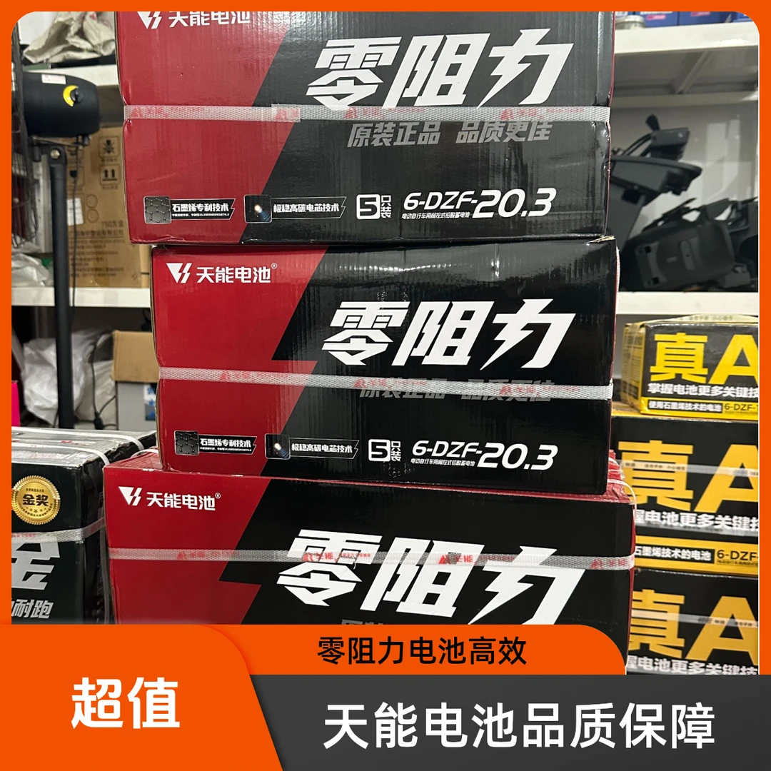 天能电池48V12安