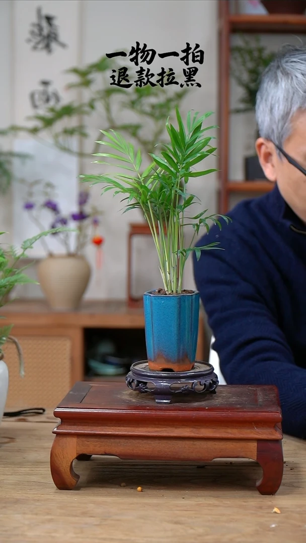 完全开放不****人椰子206