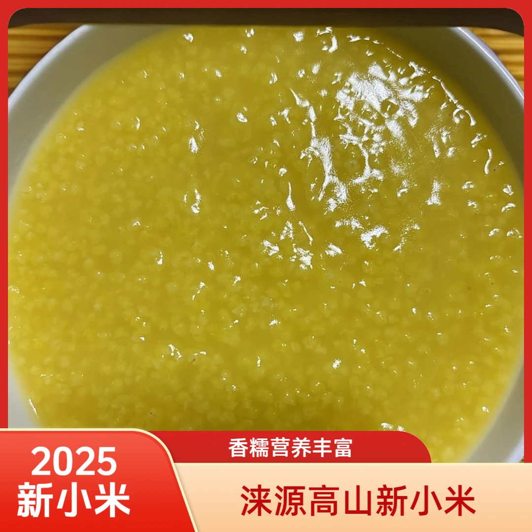 2025涞源高山新小米米油丰富老少皆宜5斤