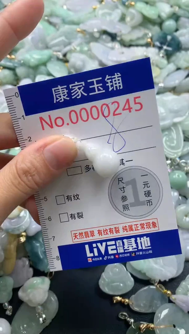 颈饰未镶嵌翡翠245