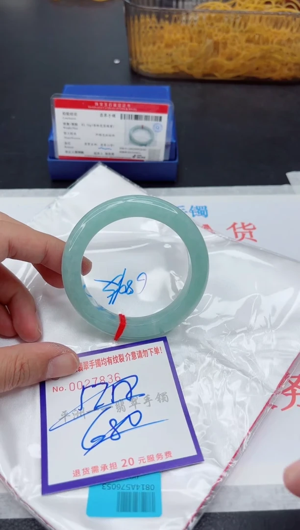 未镶嵌手镯翡翠1