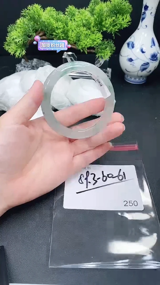 未镶嵌手镯翡翠250