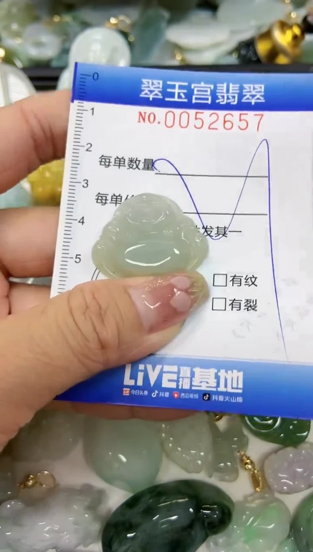 【闪购商品】翡翠颈饰未镶嵌闪购0052657