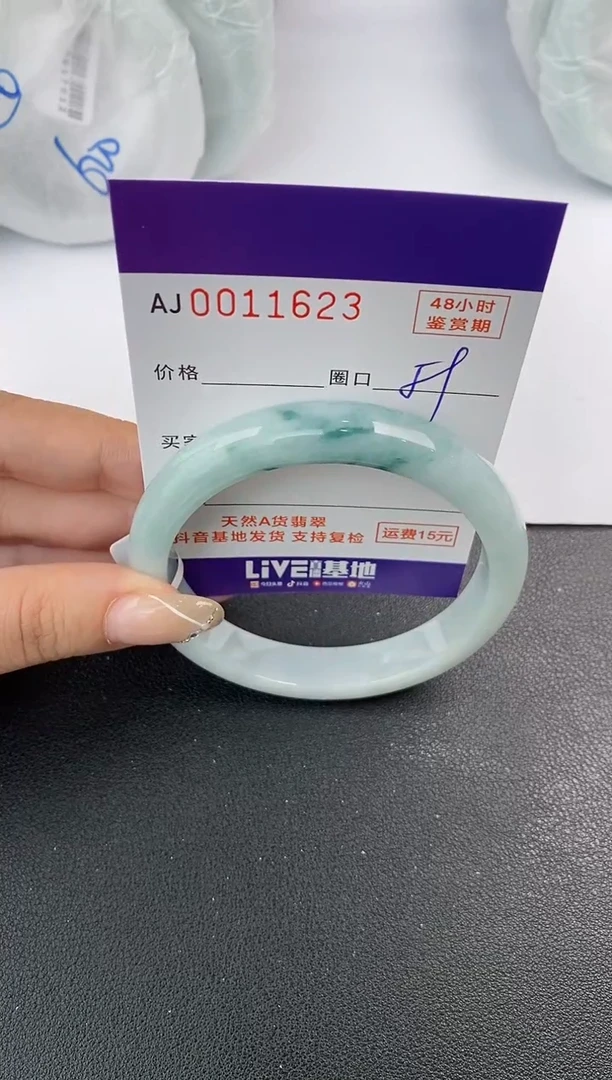 未镶嵌手镯翡翠天然A货翡翠
