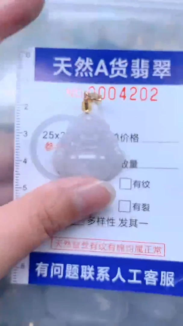 翡翠未镶嵌吊坠(不含链)1