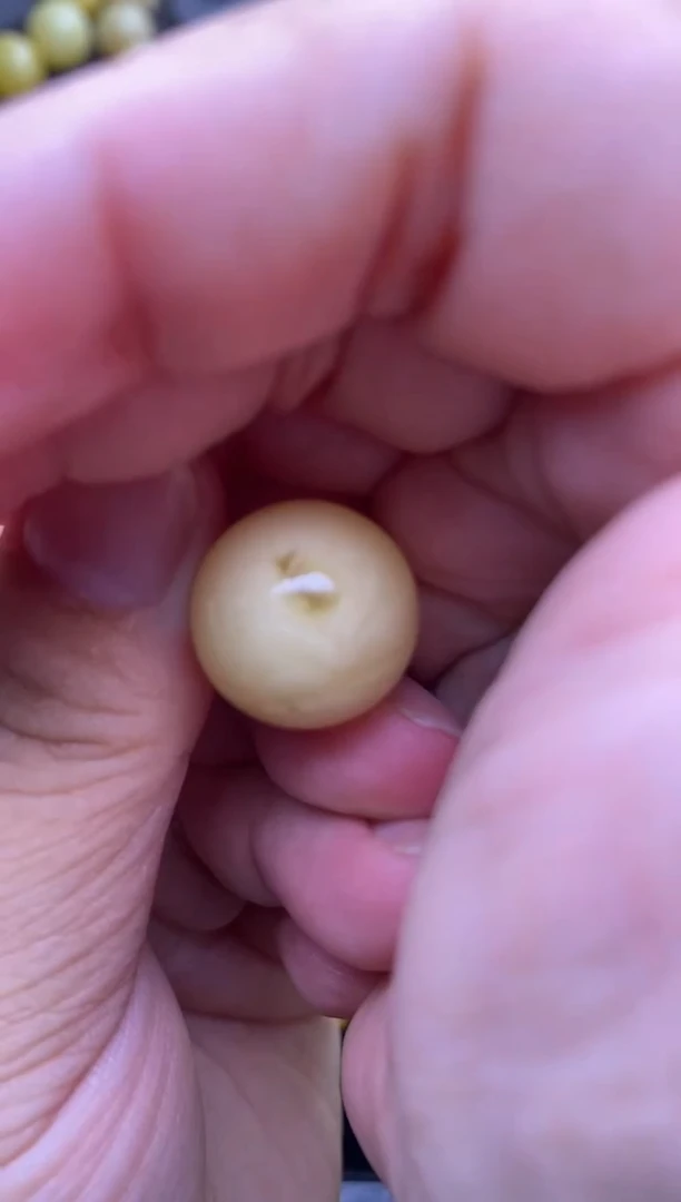 裸石琥珀未镶嵌 大小姐珠宝严选76