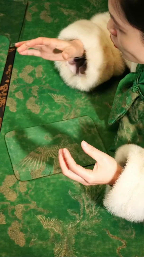 喜见造物茶席尺寸21+14