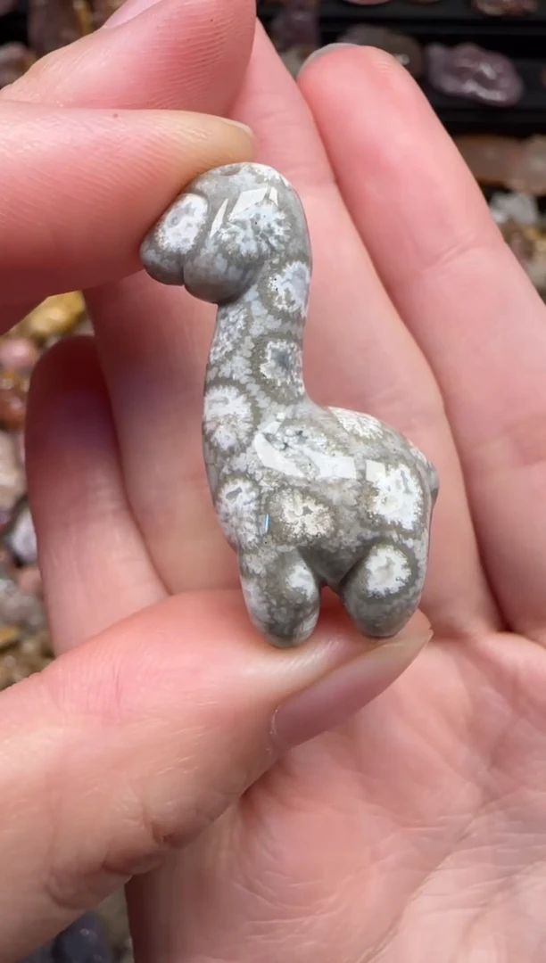 颈饰未镶嵌硅化珊瑚（珊瑚玉）808