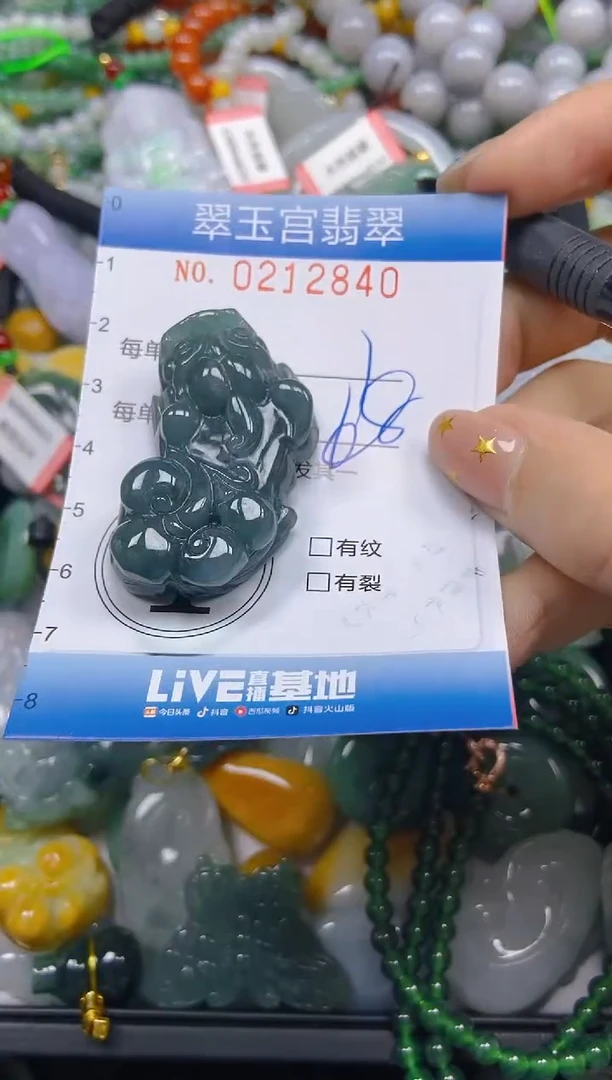 颈饰未镶嵌翡翠闪购C0212840
