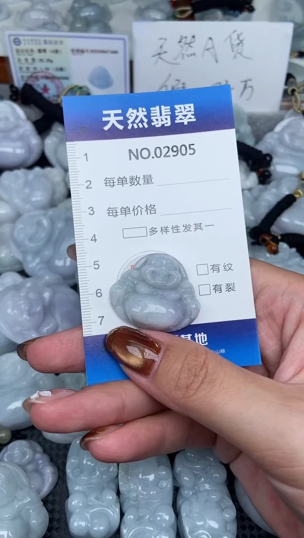颈饰未镶嵌翡翠纯天然A货翡翠2905