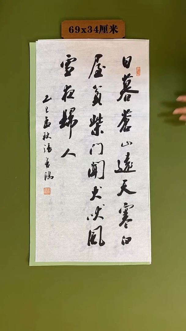 书法书法 张若鸿 尺寸69cm*34cm