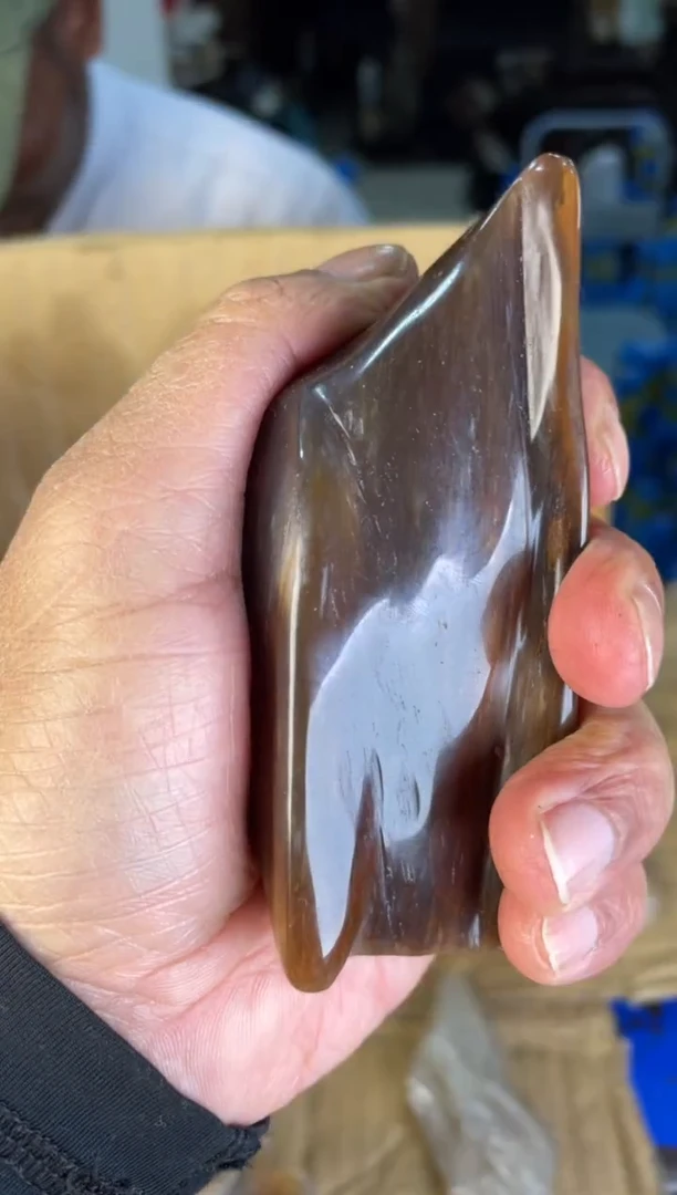 未镶嵌手把硅化玉3