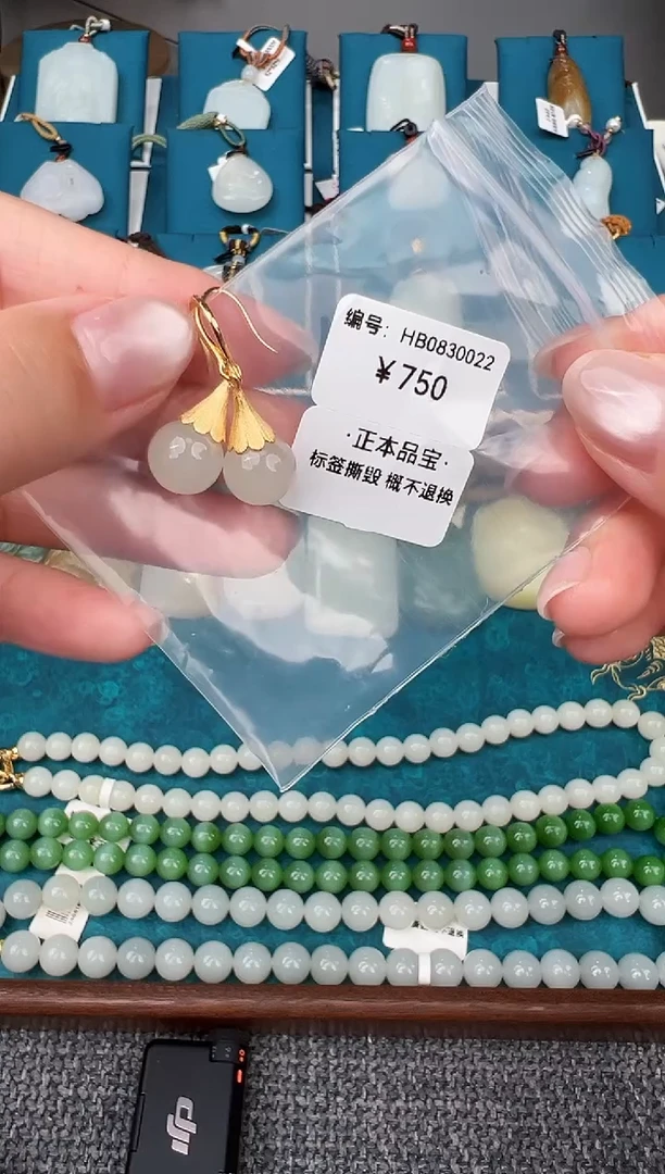 颈饰未镶嵌和田玉耳饰  HB