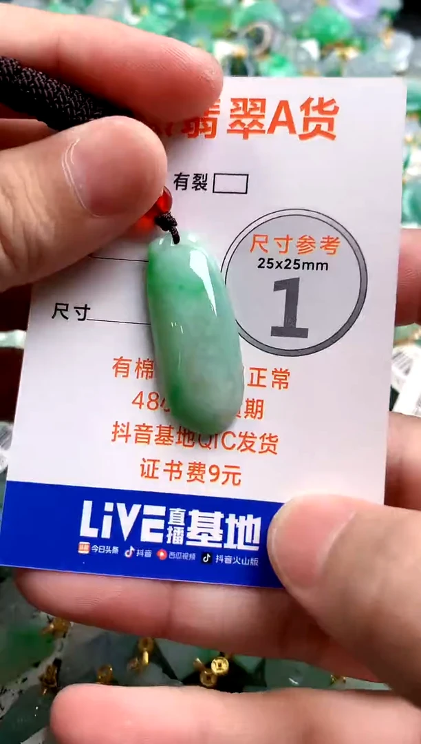 颈饰未镶嵌翡翠0262573819