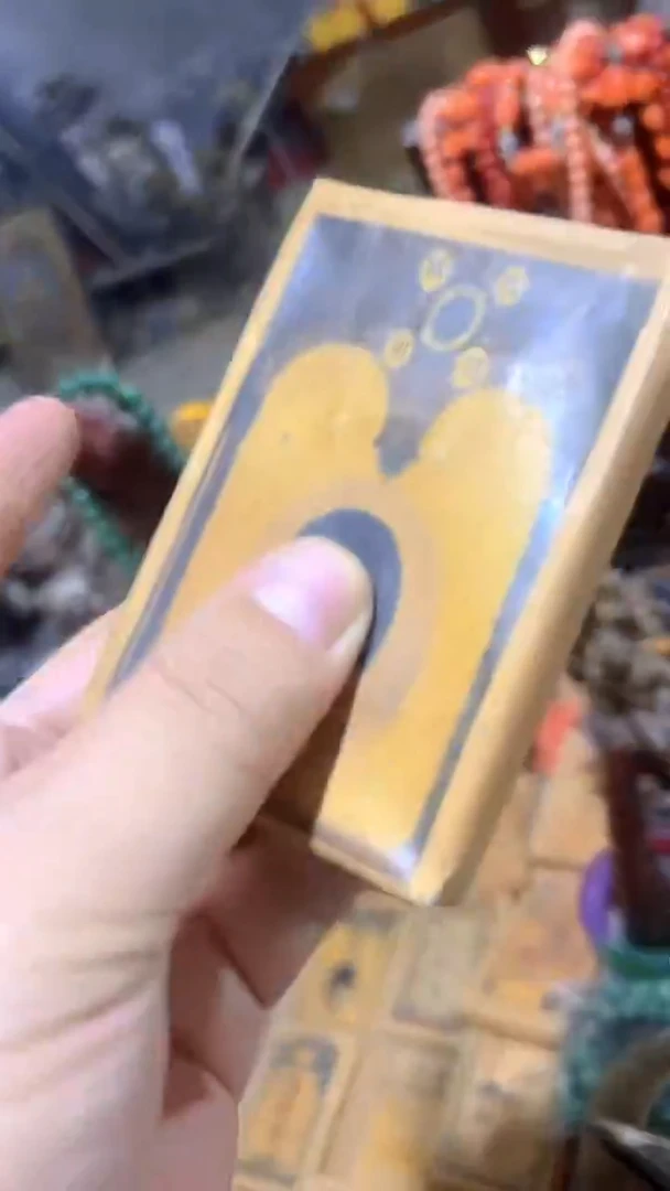 紫砂紫砂紫砂紫砂