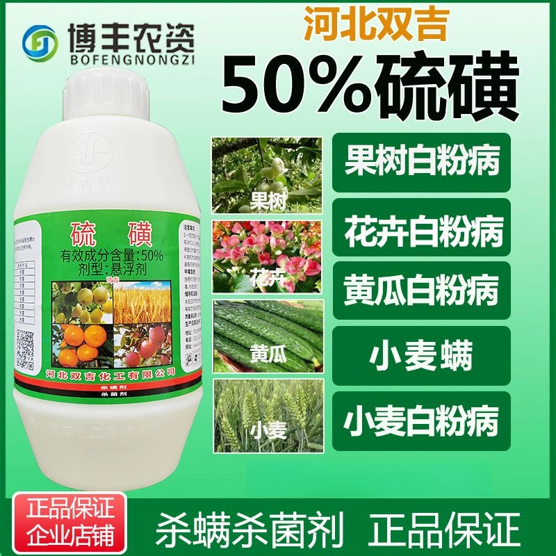 双吉50%农用硫磺果树黄瓜花卉白粉病小麦螨虫果树清园杀螨杀菌剂