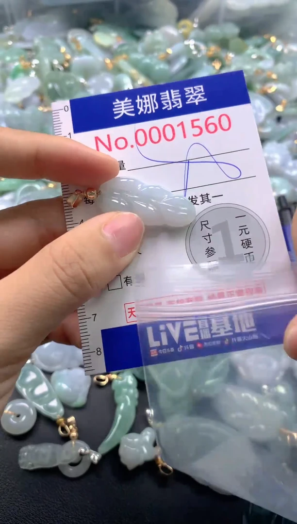 颈饰未镶嵌翡翠1560