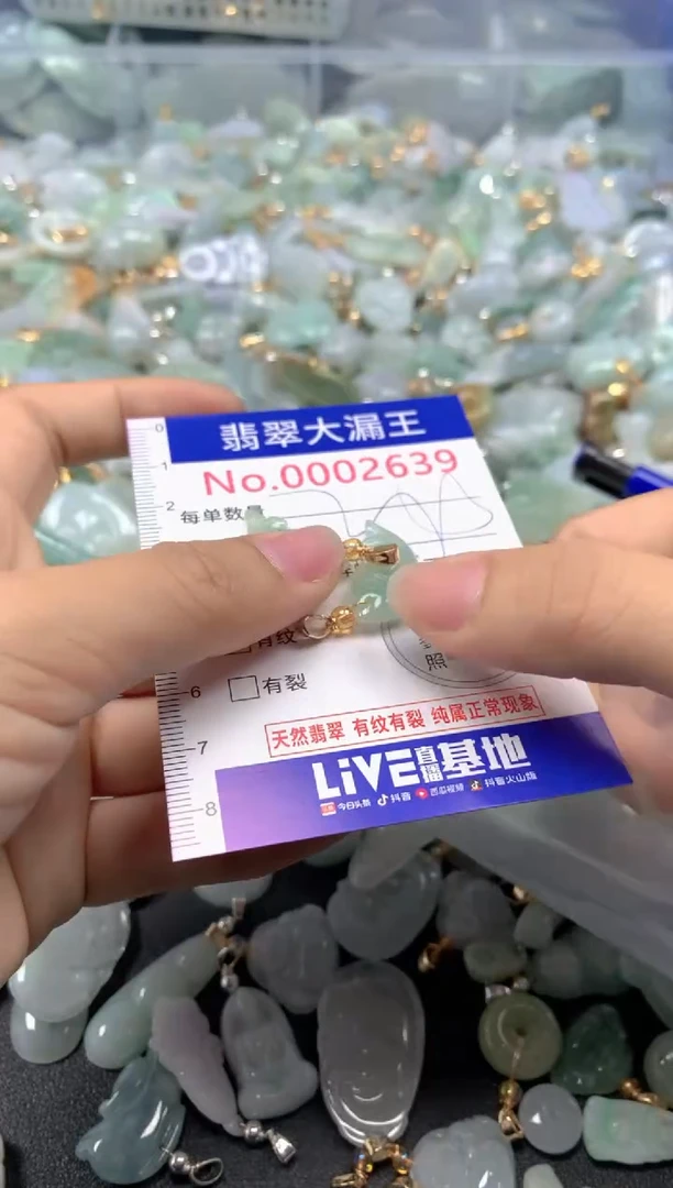 颈饰未镶嵌翡翠2639