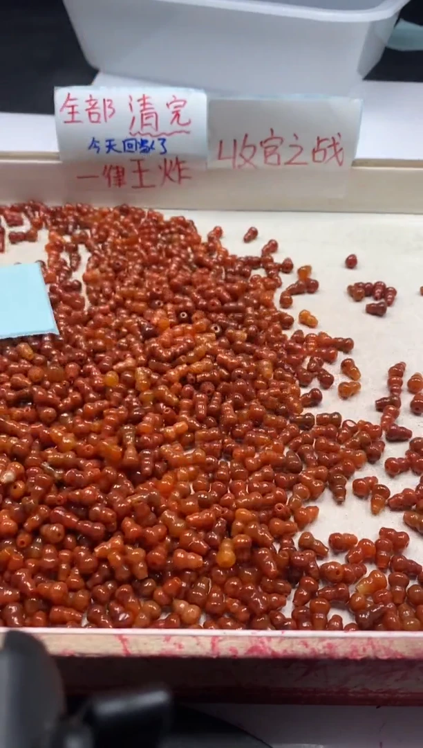 【闪购商品】翡翠颈饰未镶嵌w921红翡葫芦9*6mm*10颗