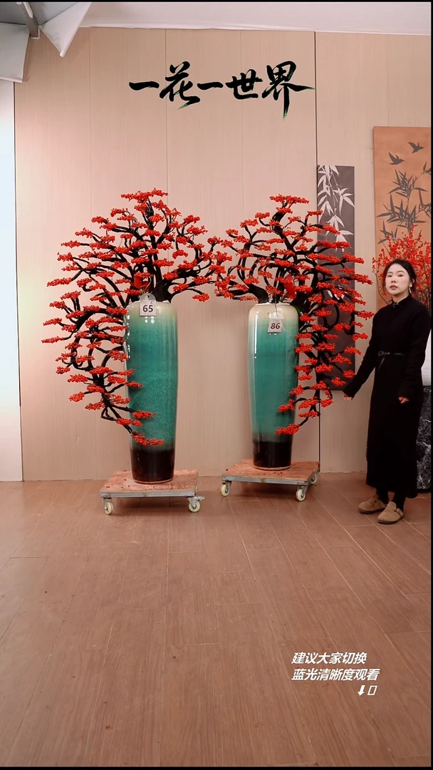 完全开放用****3北美冬青一对链接