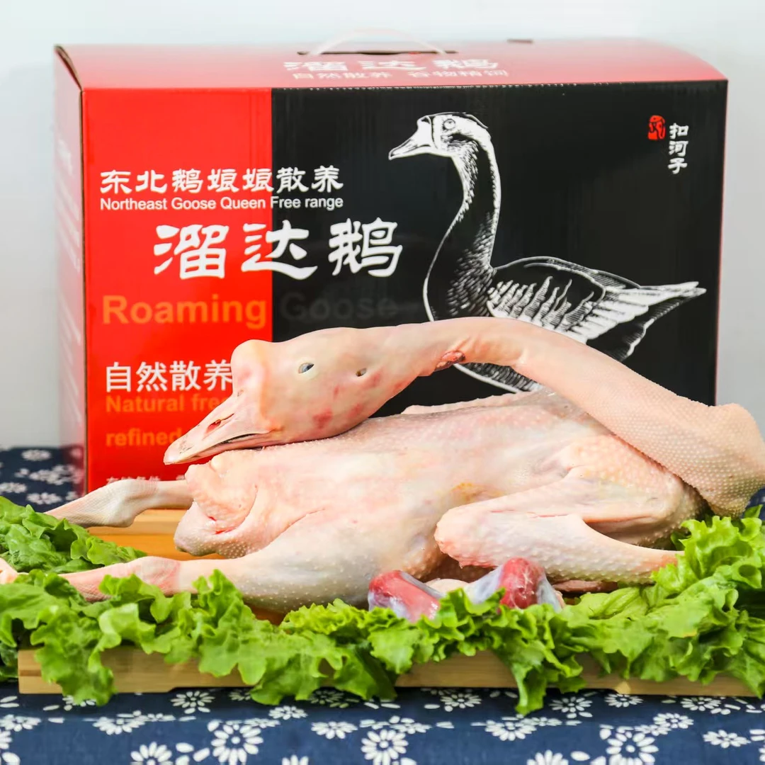 大包东北散养溜达鹅