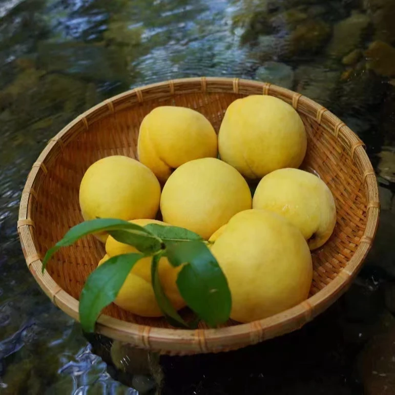 【炎陵黄桃】正宗湖南炎陵大果当季新鲜高山红心黄桃上市水果香脆甜