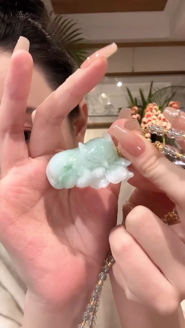 【闪购商品】翡翠颈饰未镶嵌国风