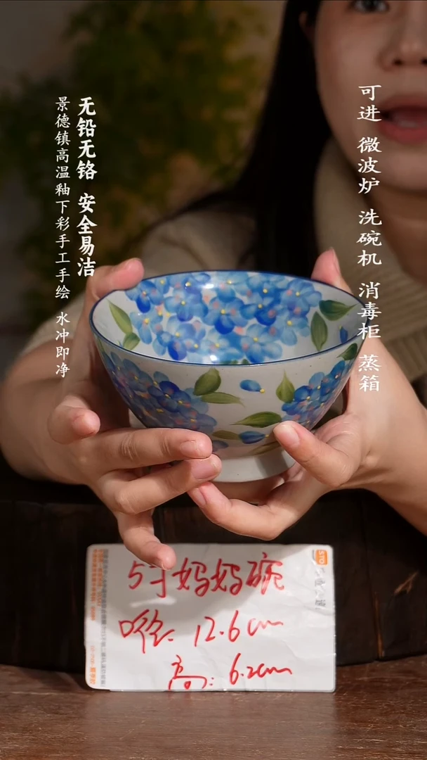 碗陶瓷景德镇高温瓷釉下彩手绘陶瓷