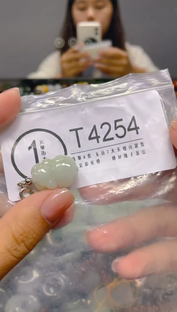 颈饰未镶嵌翡翠/ T /翡翠A货，一件也是批发价