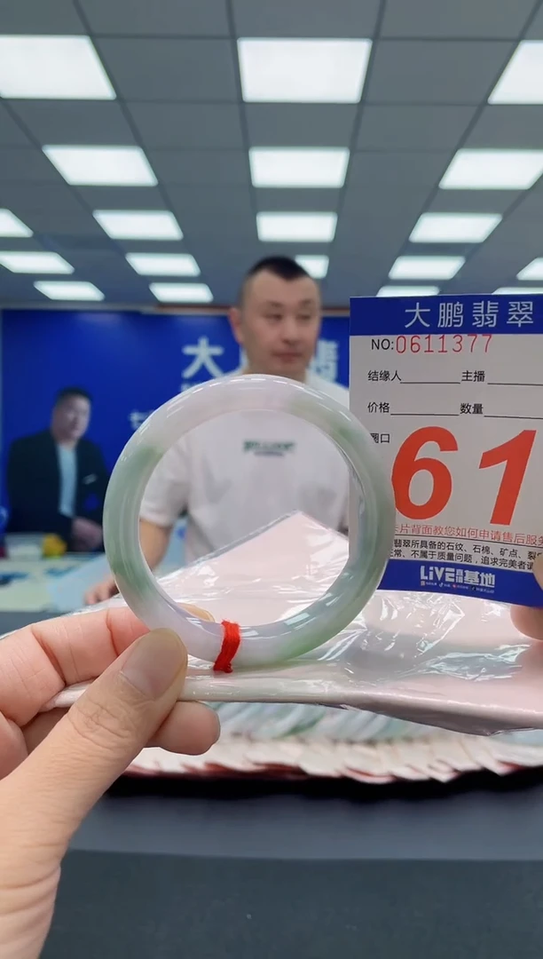 未镶嵌手镯翡翠AAAAAAAAA