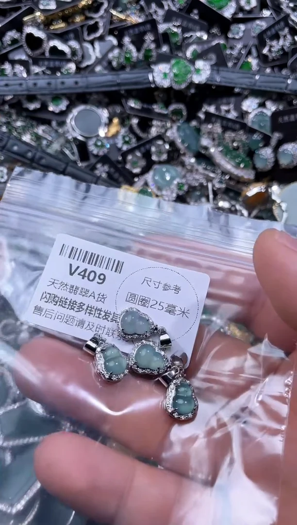 【闪购商品】翡翠颈饰未镶嵌V409多样性发其一