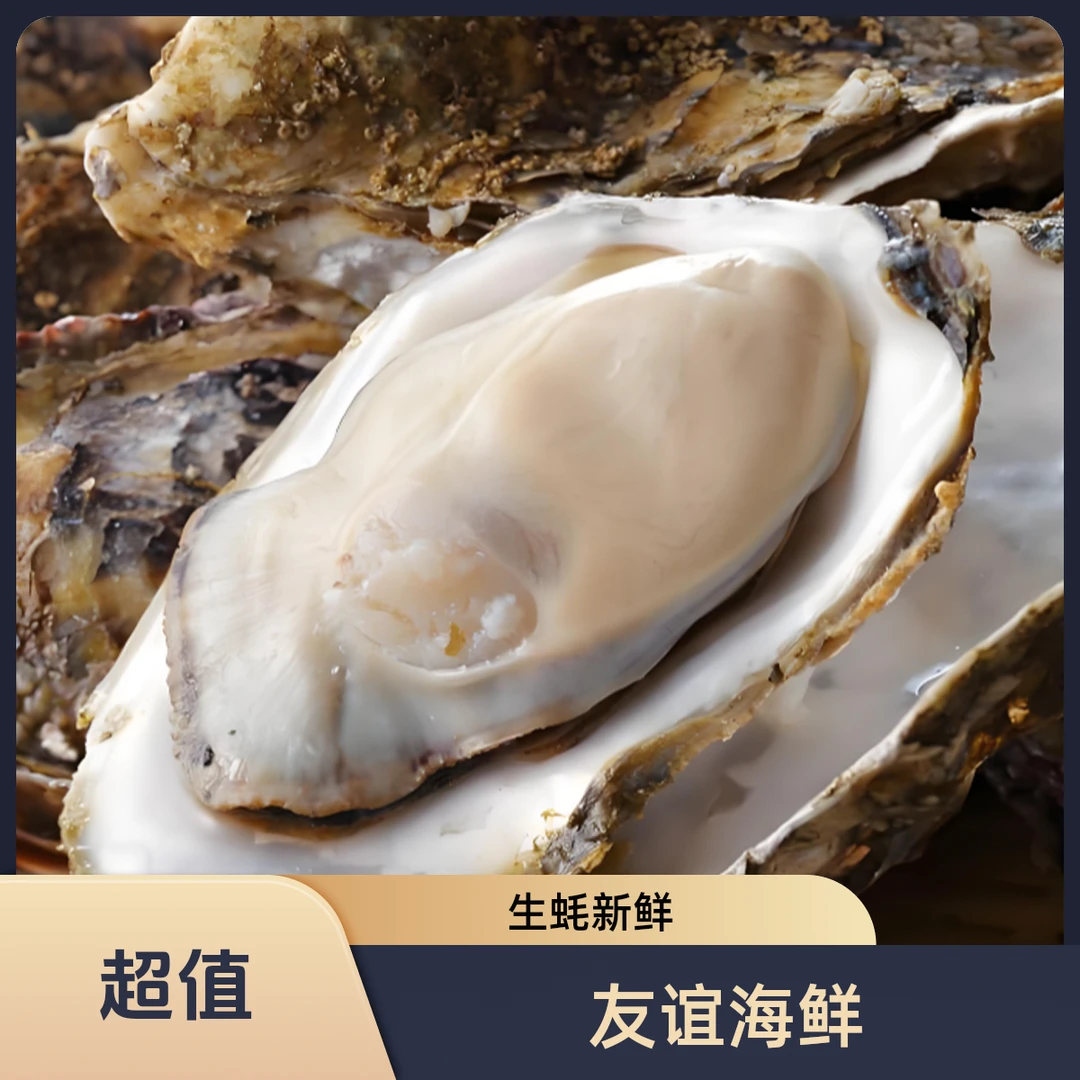 【友谊海鲜】乳山鲜活生蚝2-6s 一小时配送到家 下单送花蛤