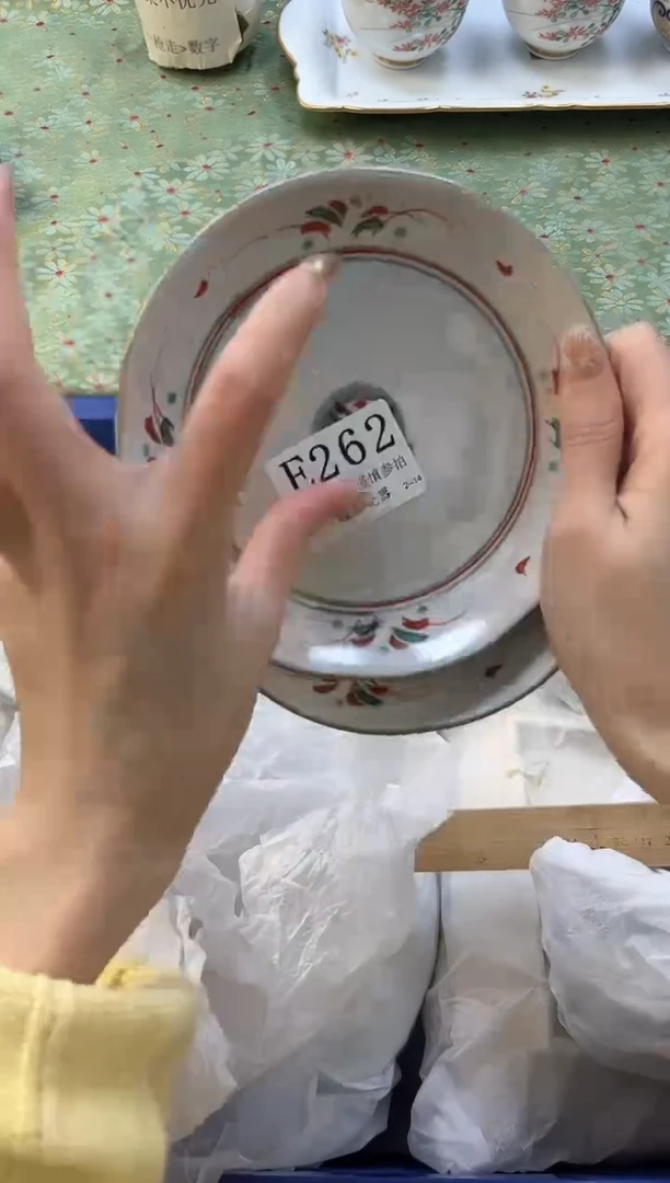 【闪购商品】瓷片----------E262