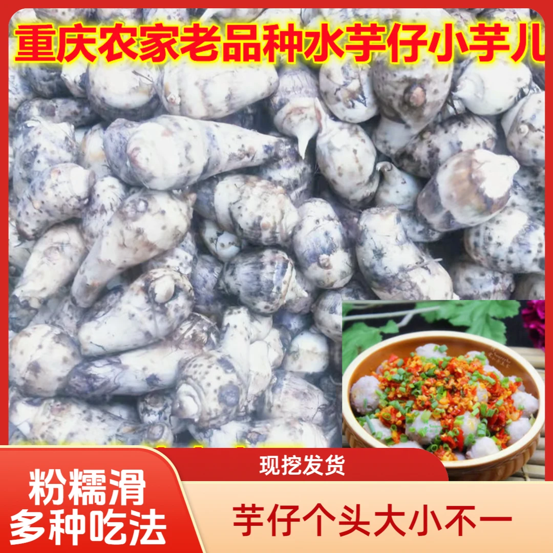 重庆四川农家新鲜水芋头仔小芋头粉糯嫩滑易煮现挖现发