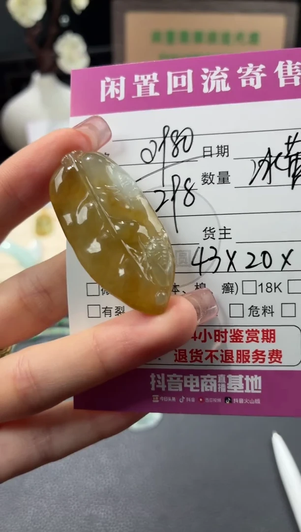 颈饰未镶嵌翡翠00000737