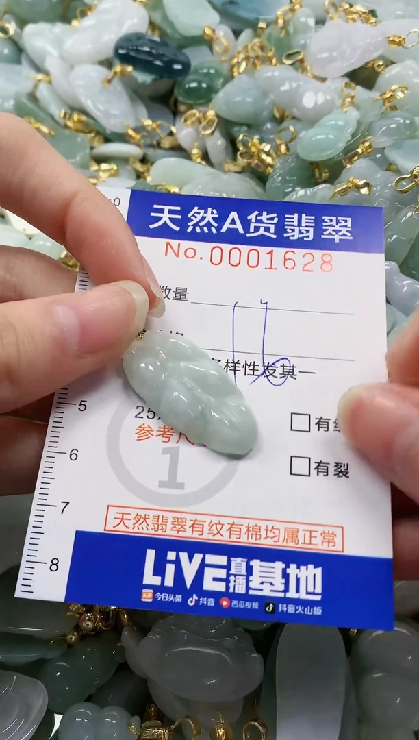 颈饰未镶嵌翡翠纯天然a货翡翠