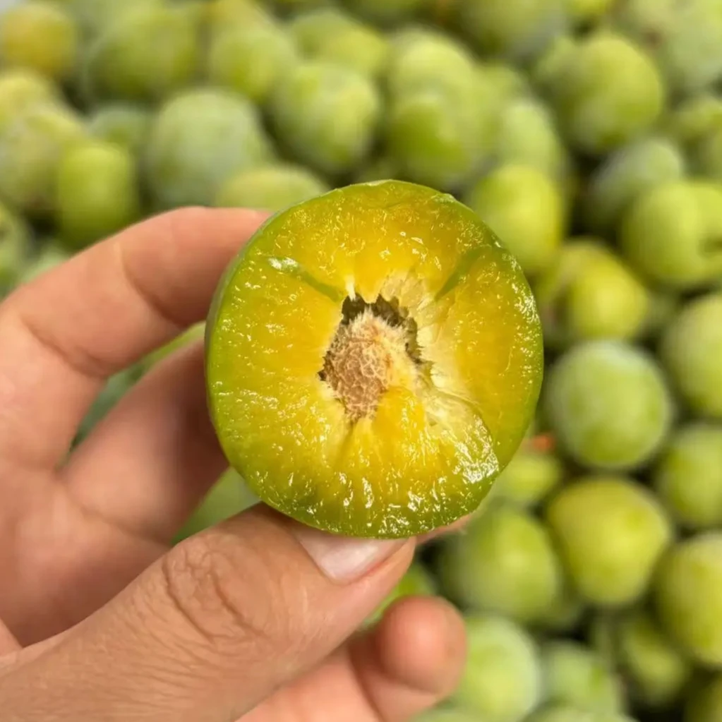 贵州蜂糖脆李 | 酸甜可口汁水充足嘎嘣脆应季水果3/5斤顺丰包邮