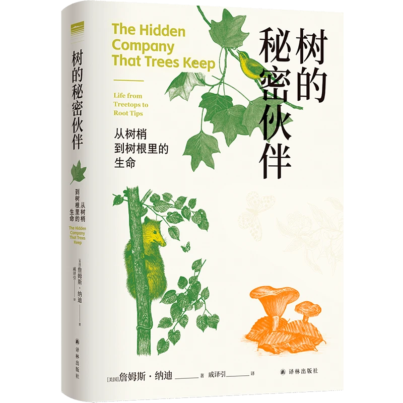 树的秘密伙伴：从树梢到树根里的生命科普作家严莹倾情推荐