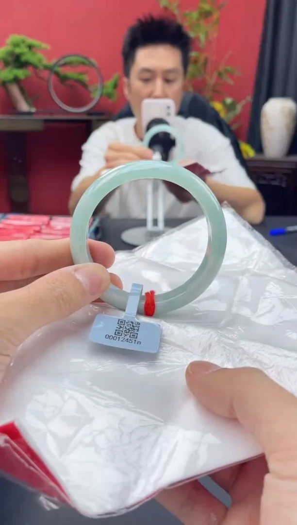 未镶嵌手镯翡翠2