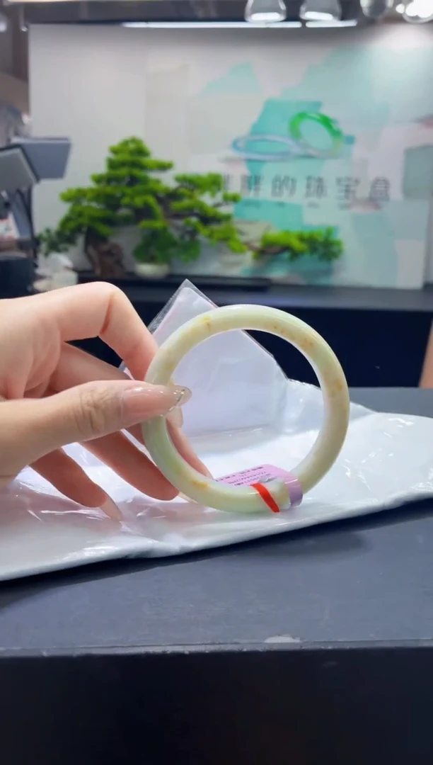 未镶嵌手镯翡翠2