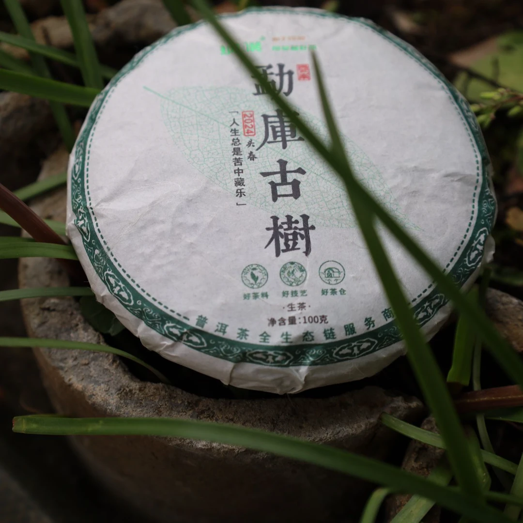 纳濮 2024年勐库古树 普洱茶（生茶）紧压茶