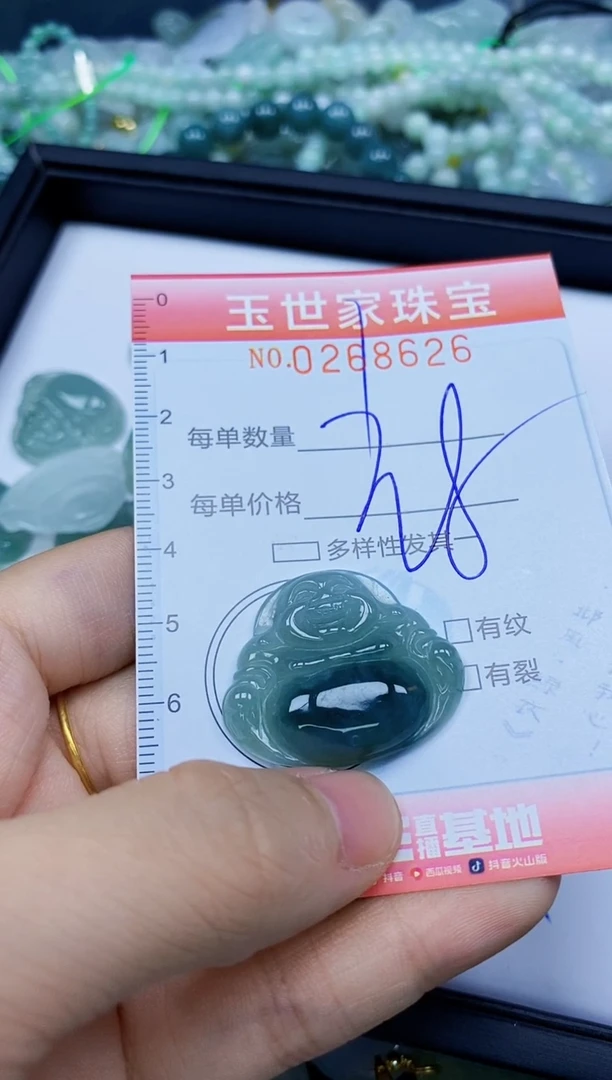 翡翠未镶嵌颈饰闪购0268626