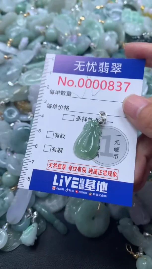 颈饰未镶嵌翡翠837