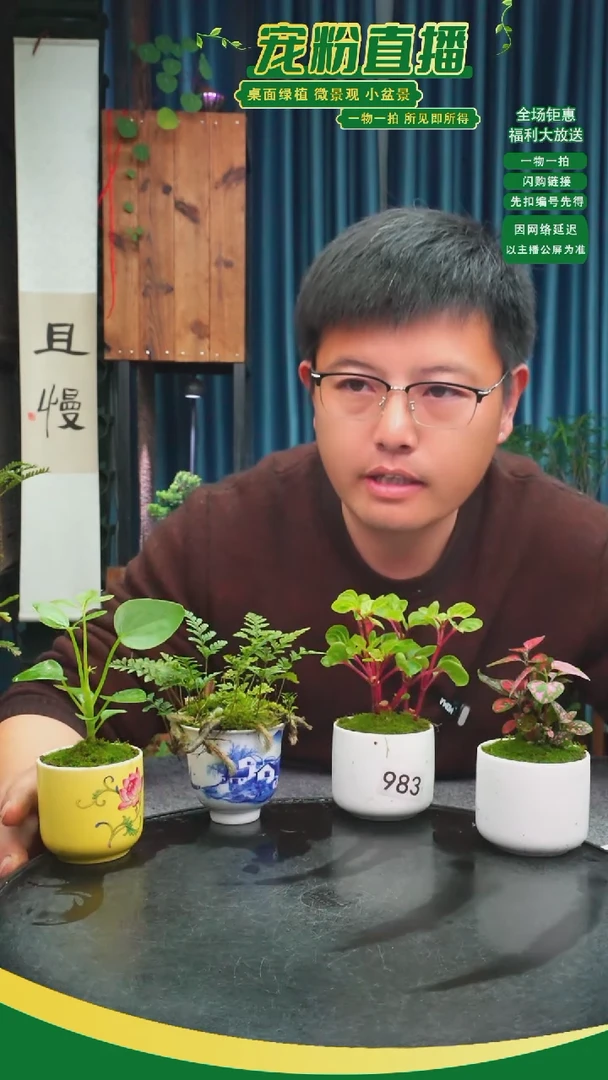 无花朵泽*苔藓微景观983号